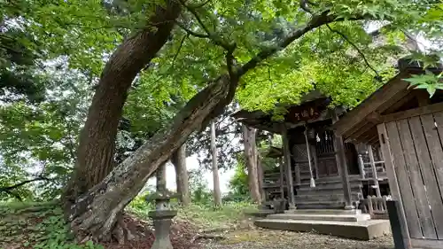 天満神社(山形県)