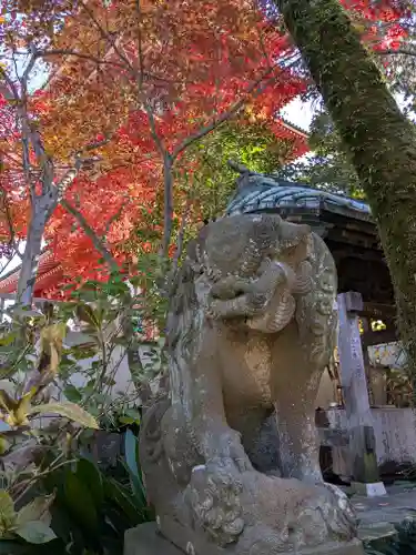 高幡不動尊　金剛寺(東京都)