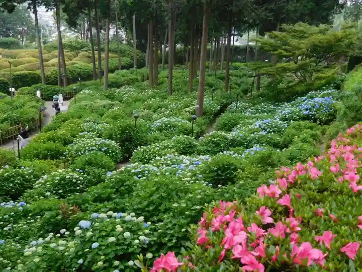 三室戸寺の庭園