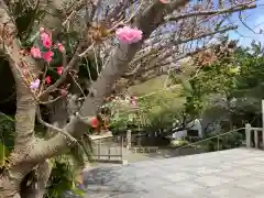 淡嶋神社(和歌山県)