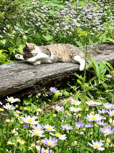 修那羅山安宮神社(長野県)