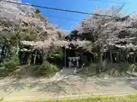 宗像神社の自然