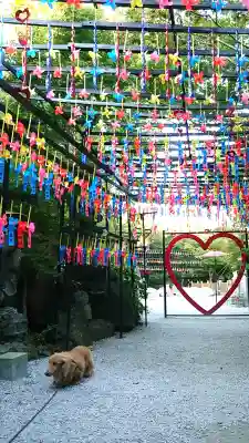 三井寺（平等寺）の{uncategorized: "未分類", other: "その他", undefined: "問題あり", building: "その他建物", grave: "お墓", sacred_gate: "鳥居", guardian: "狛犬", statue: "像", buddha: "仏像", history: "歴史", nature: "自然", garden: "庭園", animal: "動物", pagoda: "塔", temizu: "手水舎", mountain_gate: "山門・神門", sanctuary: "本殿・本堂", subordinate: "末社・摂社", art: "芸術", scenery: "景色", jizo: "地蔵", ema: "絵馬", goshuin: "御朱印", omikuji: "おみくじ", items: "授与品その他", amulet: "お守り", goshuincho: "御朱印帳", eats: "食事", festival: "お祭り", votive_dance: "神楽", shichigosan: "七五三参", wedding: "結婚式", experience: "体験その他", initially: "初詣", around: "周辺", anti_infection: "感染症対策"}