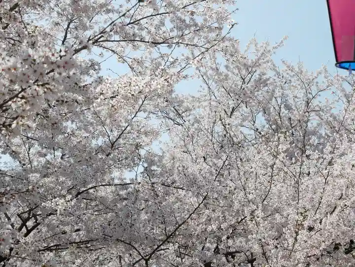 眞田神社の自然
