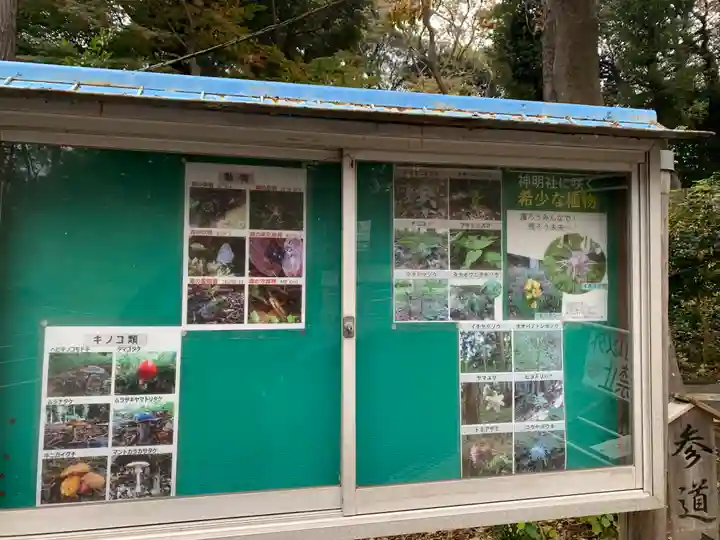 塚崎神明社(千葉県)