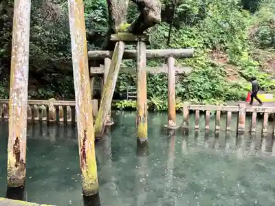奥宮(鹿島神宮摂社)(茨城県)