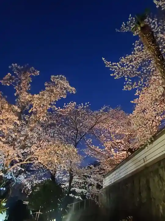 如宝寺(福島県)