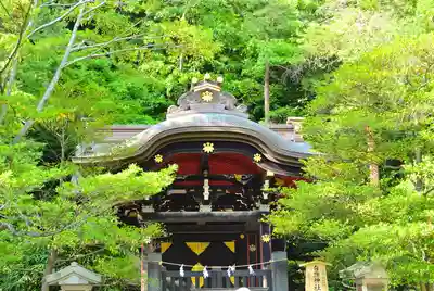 鶴岡八幡宮(神奈川県)