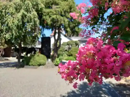 徳林寺(埼玉県)