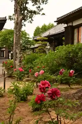 楽法寺（雨引観音）(茨城県)