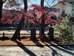 高麗神社の自然