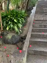 蝮ヶ池八幡宮の庭園