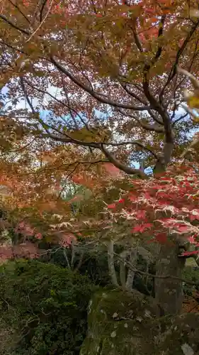 勝持寺（花の寺）(京都府)