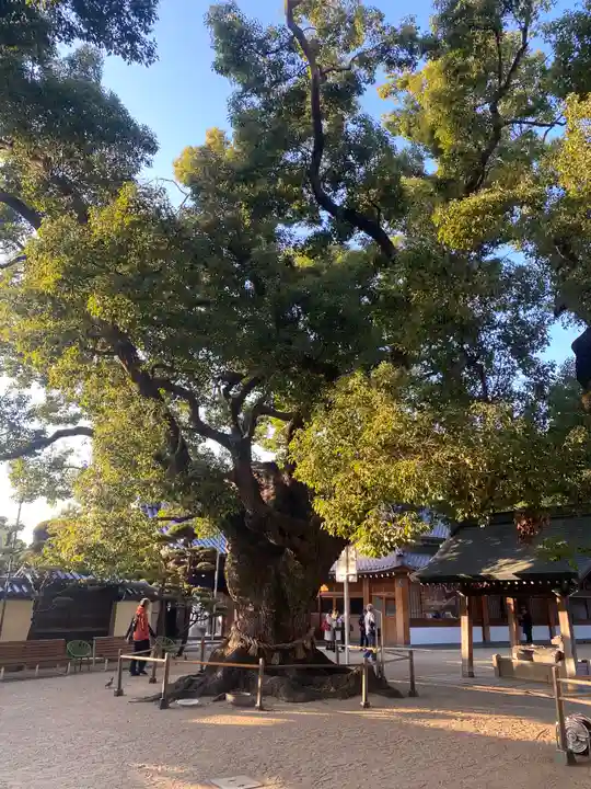 大聖観音寺(あびこ観音)(大阪府)