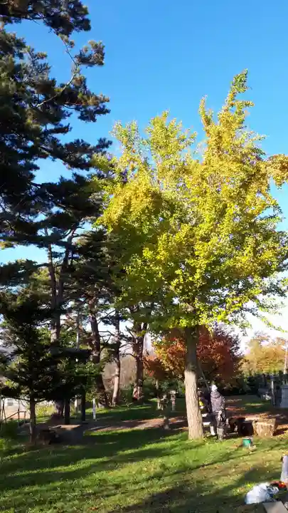 大江神社(北海道)