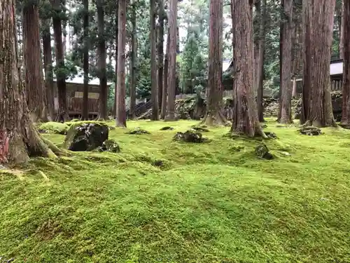 平泉寺白山神社(福井県)