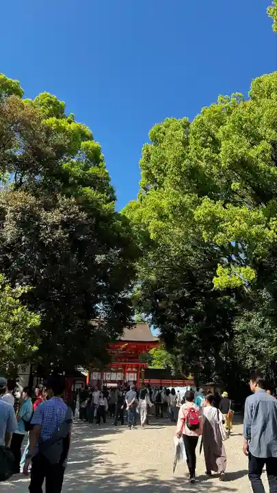 賀茂御祖神社(下鴨神社)(京都府)