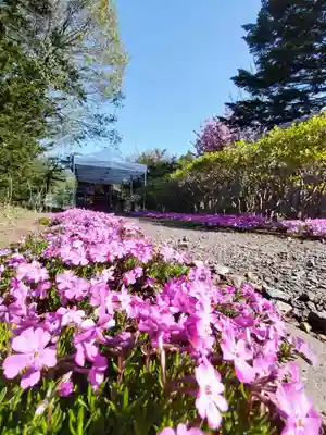 厚別神社(北海道)