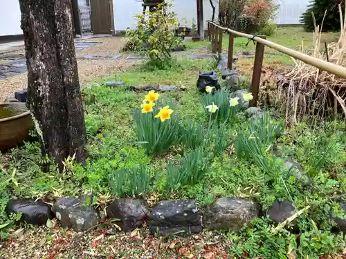 橋寺 放生院(京都府)