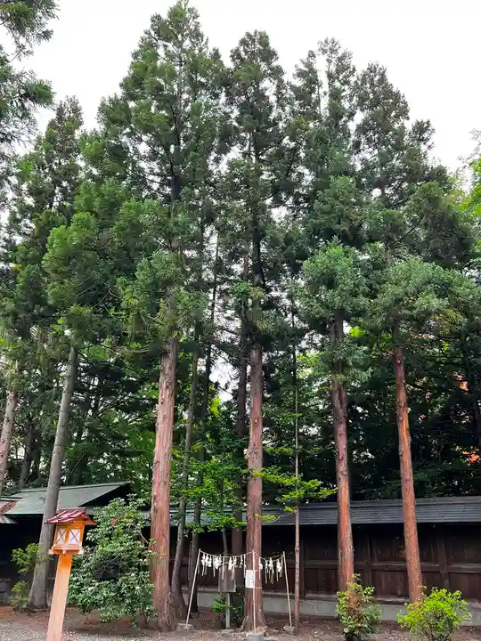 琴似神社(北海道)