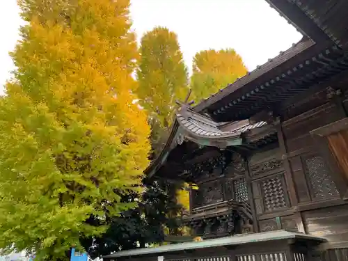 伊勢崎神社の本殿