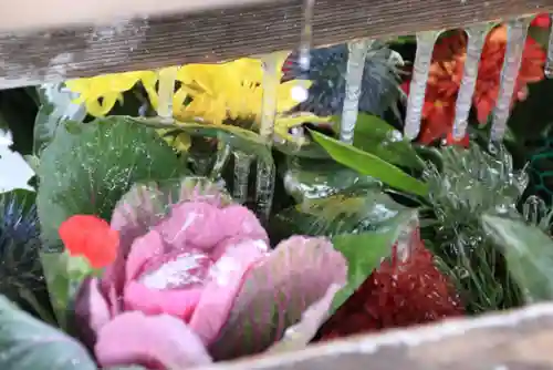 豊景神社の手水