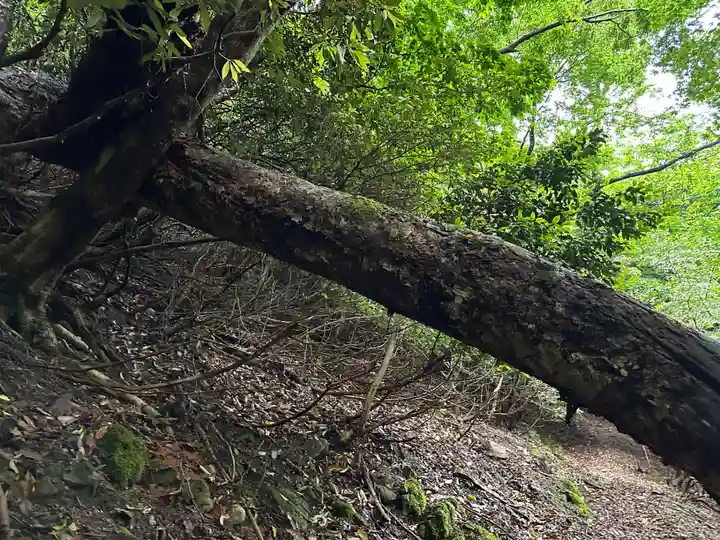 美伊神社(兵庫県)