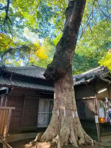 氷川女體神社(埼玉県)