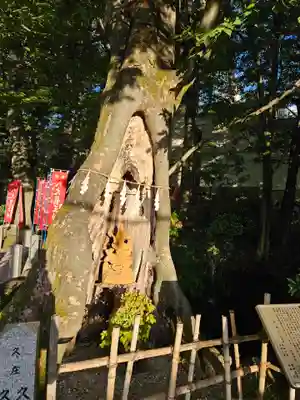 秩父今宮神社(埼玉県)
