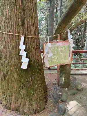 羽黒山神社(栃木県)