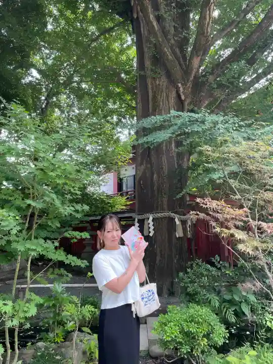 秩父神社(埼玉県)