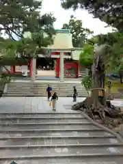 住吉大社(大阪府)