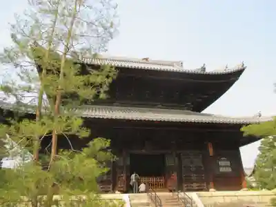 妙心寺（妙心禅寺）(京都府)