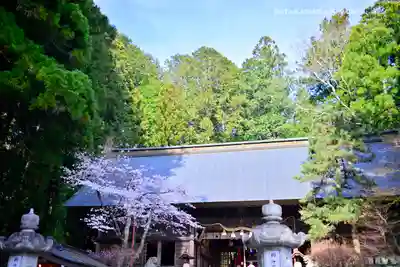 河口浅間神社(山梨県)