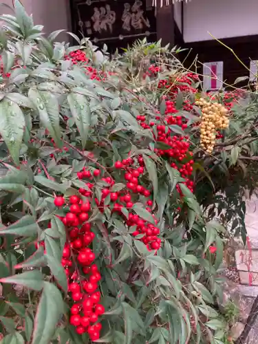 京都大神宮(京都府)