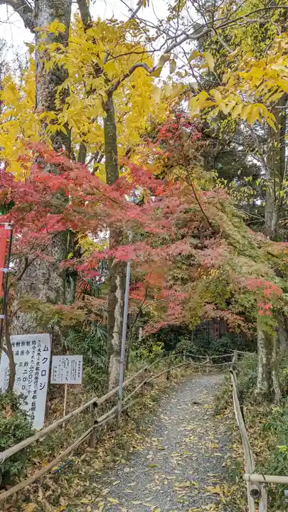 長岡天満宮(京都府)