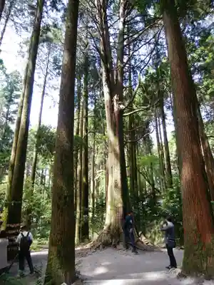 霧島神宮(鹿児島県)