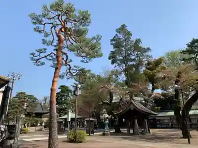 妙法寺(東京都)