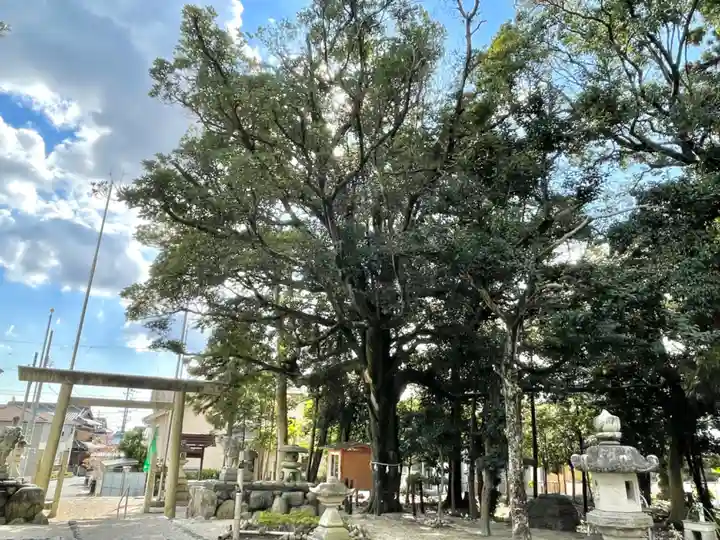 小杉神社(三重県)
