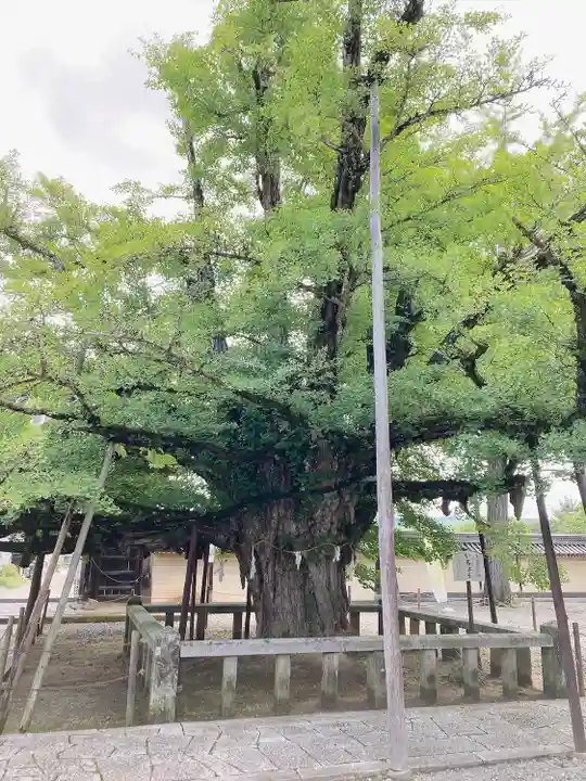 誕生寺(岡山県)