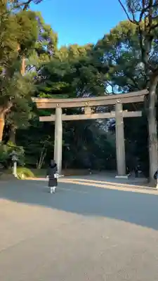 明治神宮(東京都)