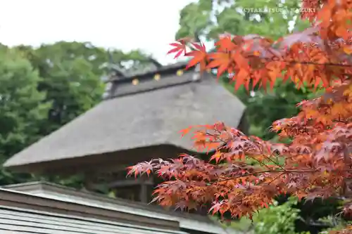 大洗磯前神社(茨城県)