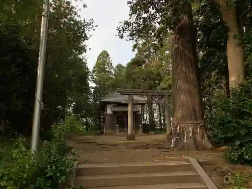 諏訪神社の鳥居