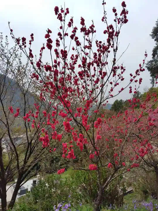 常鑑寺(群馬県)