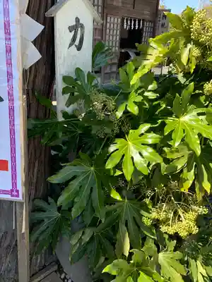 武蔵第六天神社(埼玉県)