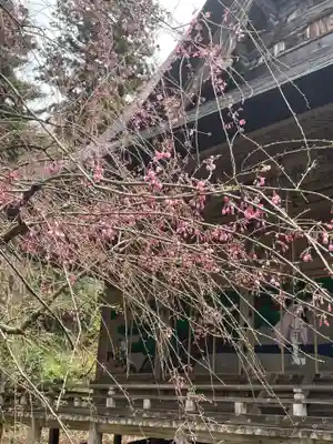 国上寺(新潟県)