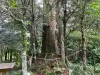 若一王子宮(高知県)