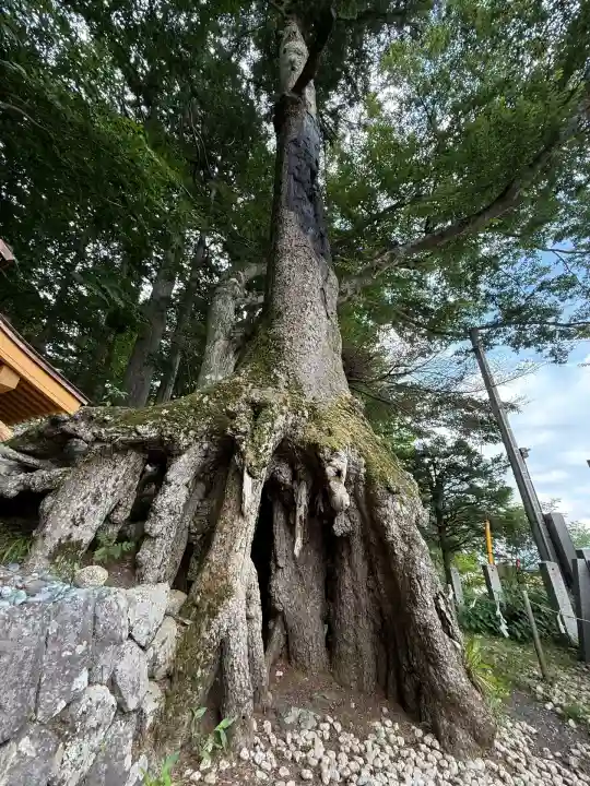 富士山東口本宮 冨士浅間神社(静岡県)