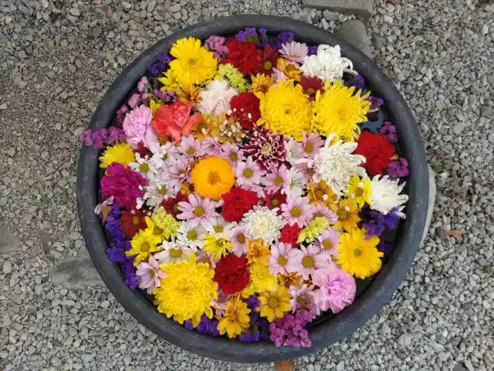 埼玉厄除け開運大師・龍泉寺(切り絵御朱印発祥の寺)の御朱印