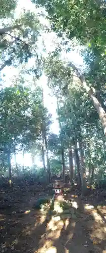 祠(名称不明)の本殿・本堂